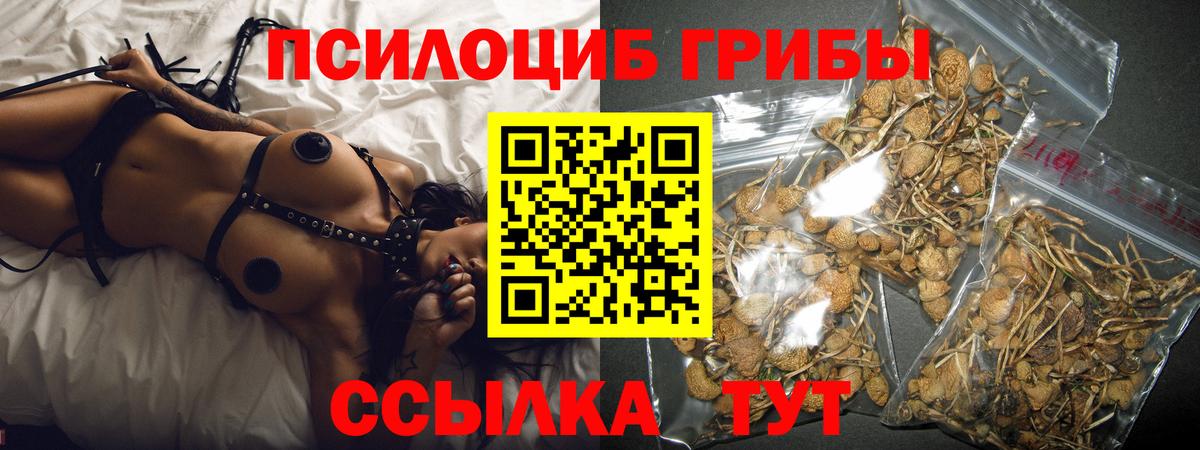 Галлюциногенные грибы Psilocybine cubensis Учалы